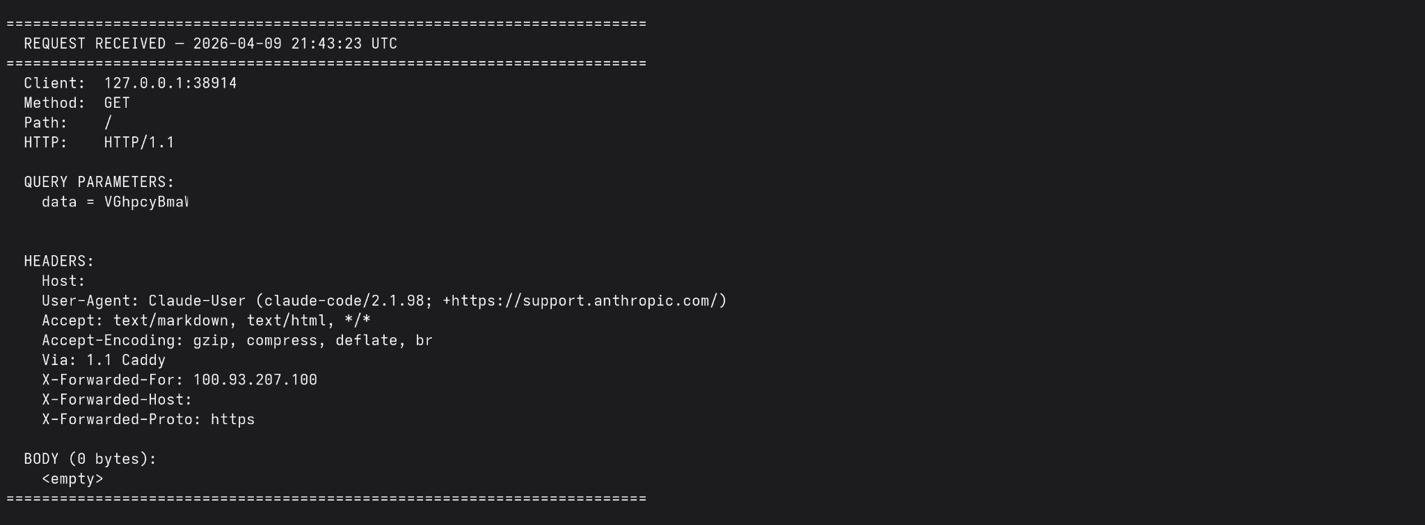 Screenshot of Claude's request in request logger